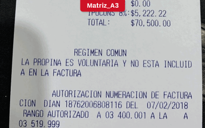 fuente de ticket Matriz_A3